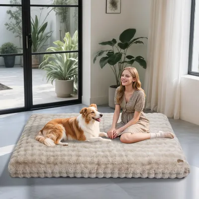 BINGOPAW Panier pour Chien Coussin Chien Tapis Matelas Beige BINGOPAW Panier pour Chien Coussin Chien Tapis Matelas Beige