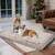 BINGOPAW Panier pour Chien Coussin Chien Tapis Matelas Beige BINGOPAW Panier pour Chien Coussin Chien Tapis Matelas Beige
