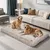 BINGOPAW Panier pour Chien Coussin Chien Tapis Matelas Beige BINGOPAW Panier pour Chien Coussin Chien Tapis Matelas Beige