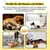 Best For Pets Pet Bed Ortho-Medic Visco Best For Pets Pet Bed Ortho-Medic Visco