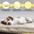 Best For Pets Pet Bed Ortho-Medic Visco Best For Pets Pet Bed Ortho-Medic Visco