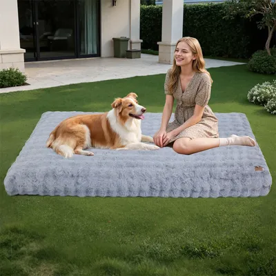 BINGOPAW Panier pour Chien Coussin Chien Tapis Matelas Gris BINGOPAW Panier pour Chien Coussin Chien Tapis Matelas Gris