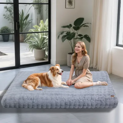 BINGOPAW Panier pour Chien Coussin Chien Tapis Matelas Gris BINGOPAW Panier pour Chien Coussin Chien Tapis Matelas Gris