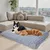 BINGOPAW Panier pour Chien Coussin Chien Tapis Matelas Gris BINGOPAW Panier pour Chien Coussin Chien Tapis Matelas Gris