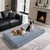BINGOPAW Panier pour Chien Coussin Chien Tapis Matelas Gris BINGOPAW Panier pour Chien Coussin Chien Tapis Matelas Gris