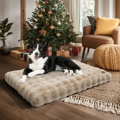 BINGOPAW Panier pour Chien Coussin Chien Tapis Matelas Beige BINGOPAW Panier pour Chien Coussin Chien Tapis Matelas Beige