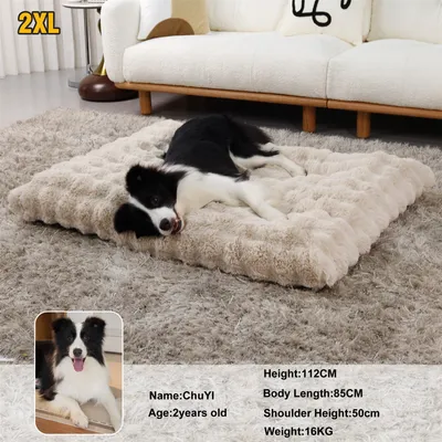 BINGOPAW Panier pour Chien Coussin Chien Tapis Matelas Beige BINGOPAW Panier pour Chien Coussin Chien Tapis Matelas Beige