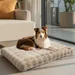 BINGOPAW Panier pour Chien Coussin Chien Tapis Matelas Beige