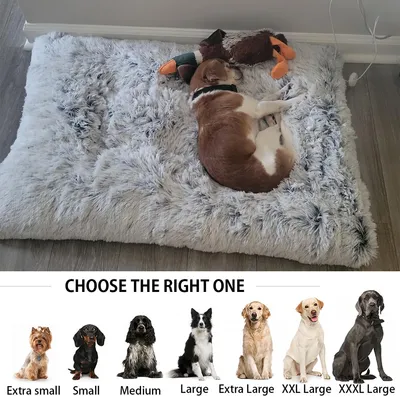 BINGOPAW Panier pour Chien Coussin Chien Tapis Matelas Gris BINGOPAW Panier pour Chien Coussin Chien Tapis Matelas Gris