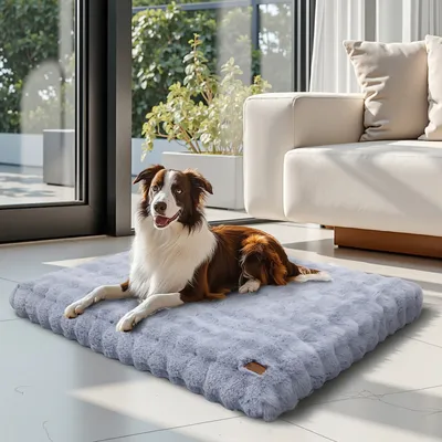 BINGOPAW Panier pour Chien Coussin Chien Tapis Matelas Gris BINGOPAW Panier pour Chien Coussin Chien Tapis Matelas Gris