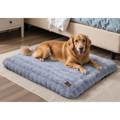 BINGOPAW Panier pour Chien Coussin Chien Tapis Matelas Beige