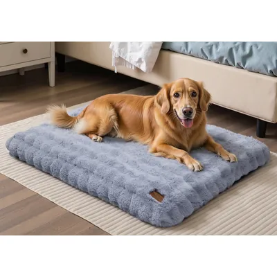BINGOPAW Panier pour Chien Coussin Chien Tapis Matelas Beige BINGOPAW Panier pour Chien Coussin Chien Tapis Matelas Beige