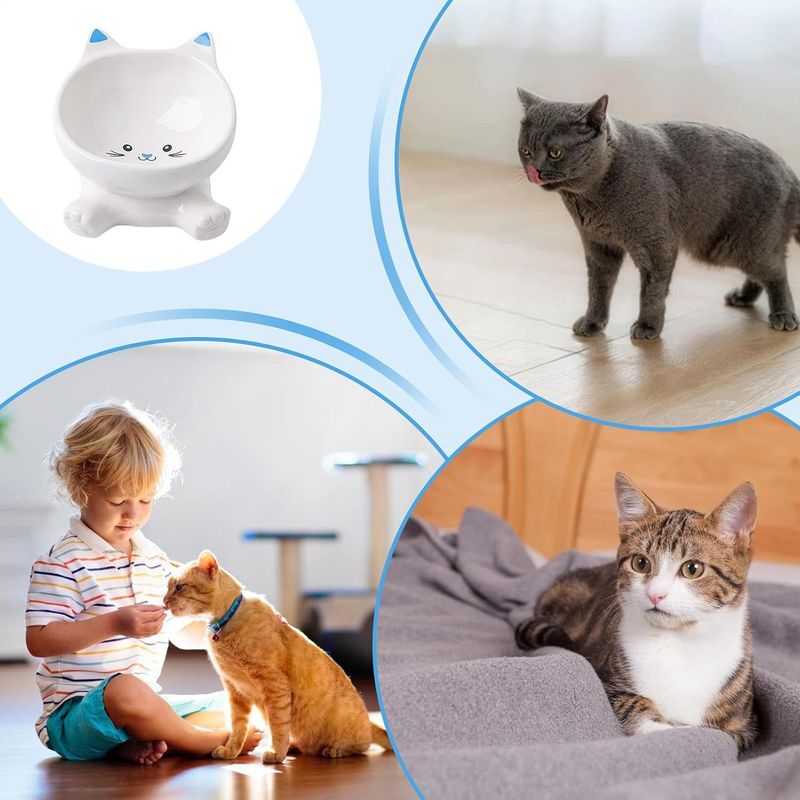 KPYTE Gamelle surélevée pour chat inclinable
