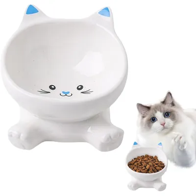 KPYTE Gamelle surélevée pour chat inclinable