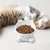 KPYTE Gamelle surélevée pour chat inclinable
