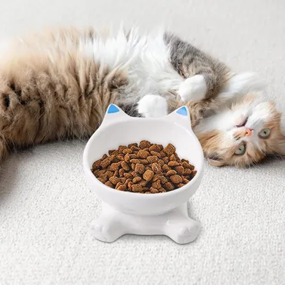 KPYTE Gamelle surélevée pour chat inclinable