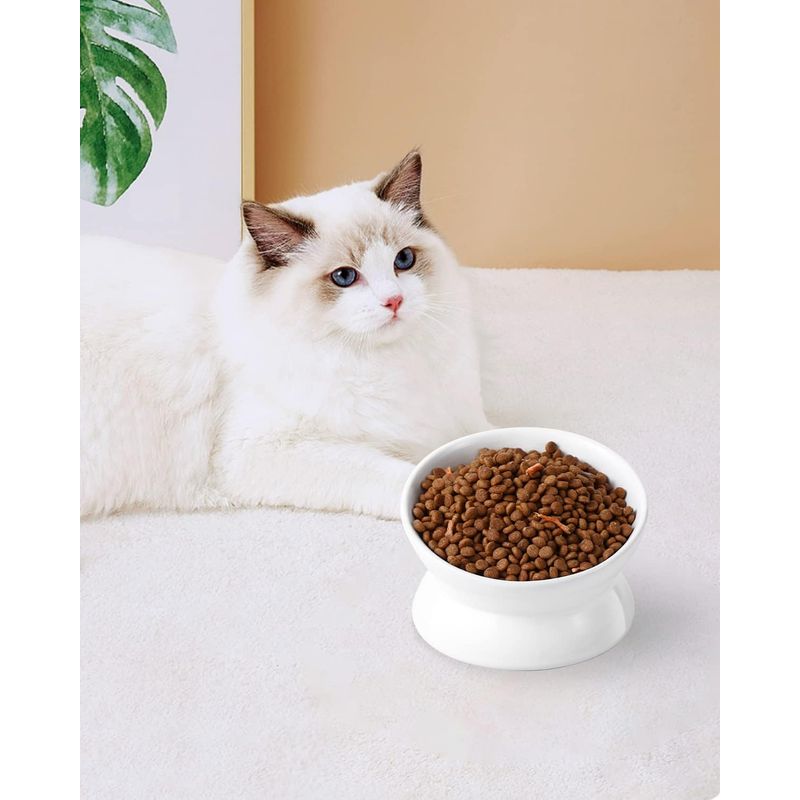 KPYTE Gamelle inclinée pour chat à pieds hauts