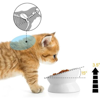 KPYTE Gamelle inclinée pour chat à pieds hauts