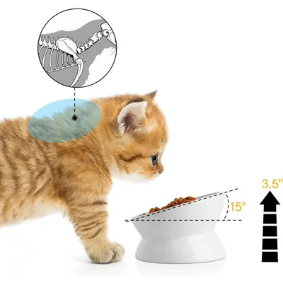 KPYTE Comedero inclinado para gatos con patas altas