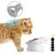 KPYTE Gamelle inclinée pour chat à pieds hauts