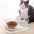 KPYTE Gamelle double surélevée pour chat