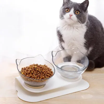 KPYTE Gamelle double surélevée pour chat