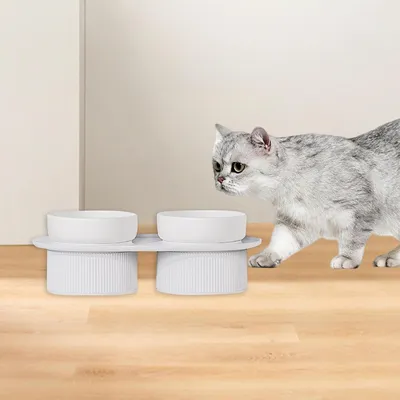KPYTE Gamelle en céramique pour chat