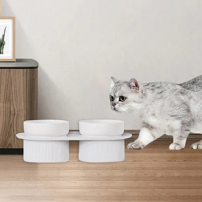 KPYTE Gamelle en céramique pour chat