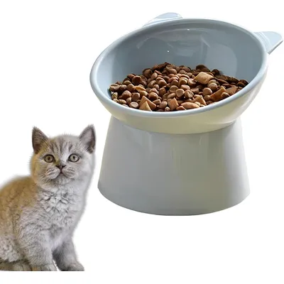KPYTE Comedero inclinado para gatos con protección para el cuello
