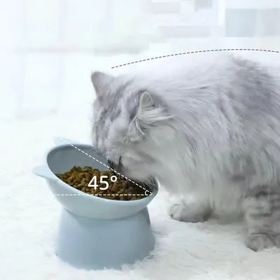KPYTE Comedero inclinado para gatos con protección para el cuello