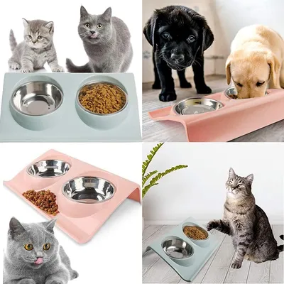 KPYTE Gamelle intégrée pour chat avec eau et nourriture