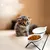 KPYTE Gamelle pour chat avec support antidérapant