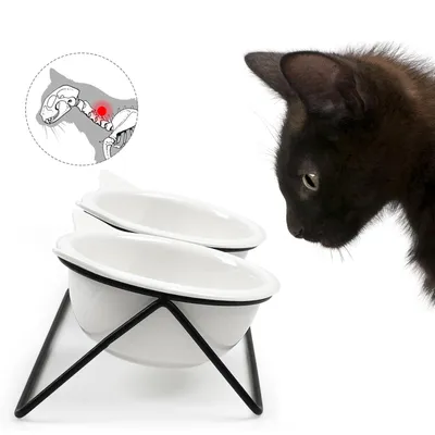 KPYTE Gamelle pour chat avec support antidérapant