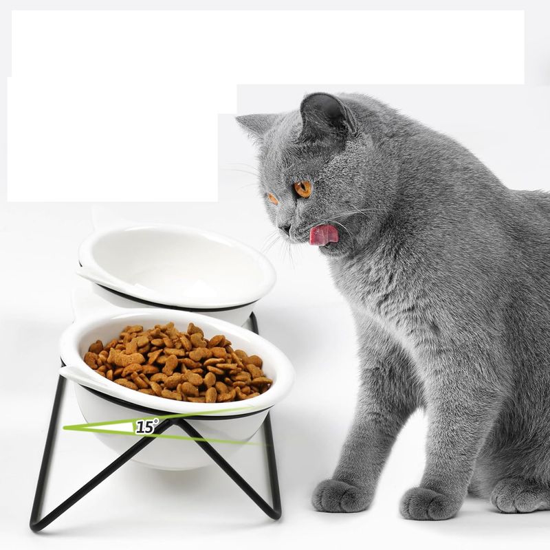 KPYTE Gamelle pour chat avec support antidérapant