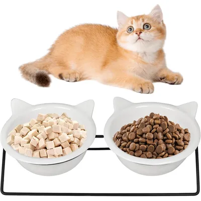 KPYTE Gamelle pour chat avec support antidérapant KPYTE Gamelle pour chat avec support antidérapant