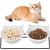 KPYTE Gamelle pour chat avec support antidérapant