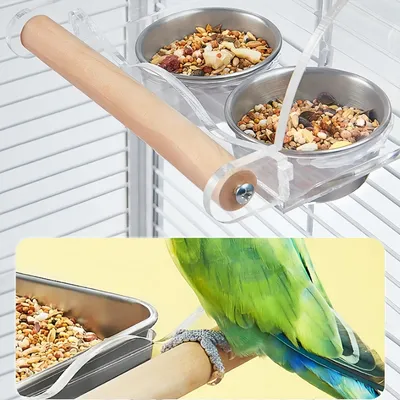 FurryFusion Mangeoire à oiseaux à double bol en acier inoxydable