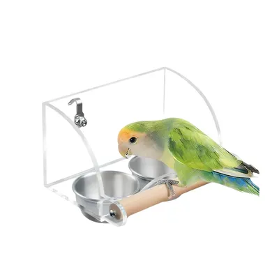 FurryFusion Mangeoire à oiseaux à double bol en acier inoxydable