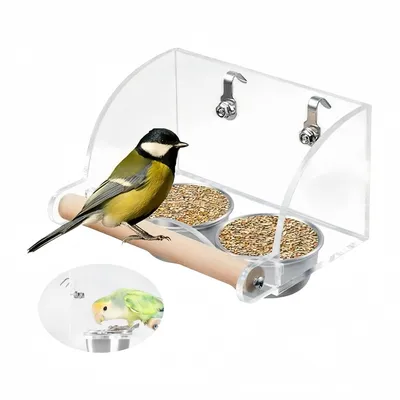 FurryFusion Mangeoire à oiseaux à double bol en acier inoxydable