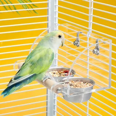 FurryFusion Mangeoire à oiseaux à double bol en acier inoxydable