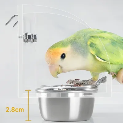 FurryFusion Mangeoire à oiseaux à double bol en acier inoxydable