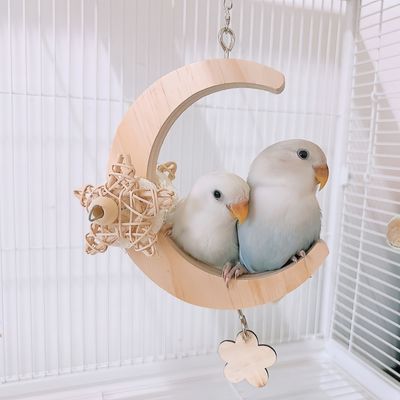 FurryFusion Columpio para loros con forma de luna