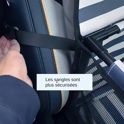 FurryFusion Siège auto pour chien