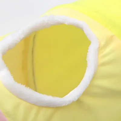 FurryFusion Tunnel pliable pour chat avec oreilles de chat