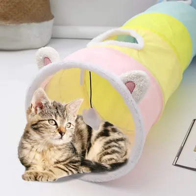 FurryFusion Tunnel pliable pour chat avec oreilles de chat