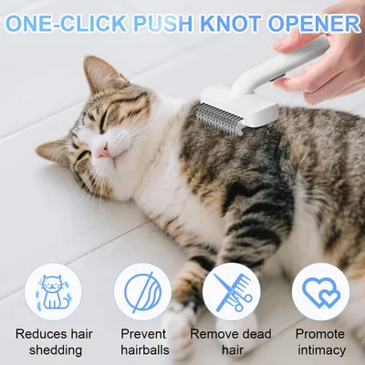 Brosse de massage pour le soin du pelage du chat