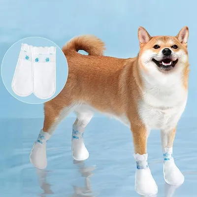 Reitlaze Couvre-pieds de chien jetables