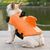 Reitlaze Maillot de bain gilet de sauvetage pour chien