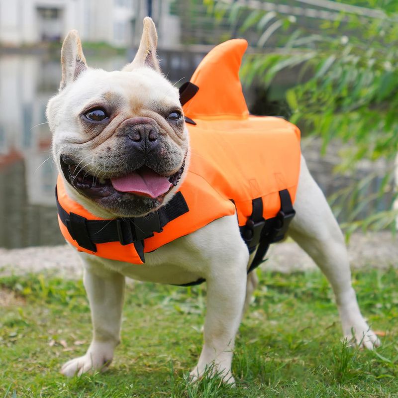 Reitlaze Maillot de bain gilet de sauvetage pour chien