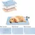Reitlaze Tapis rafraîchissant pour chats et chiens